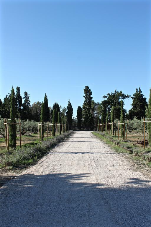 مبيت وإفطار جرافيزون Domaine De Fontbelle المظهر الخارجي الصورة