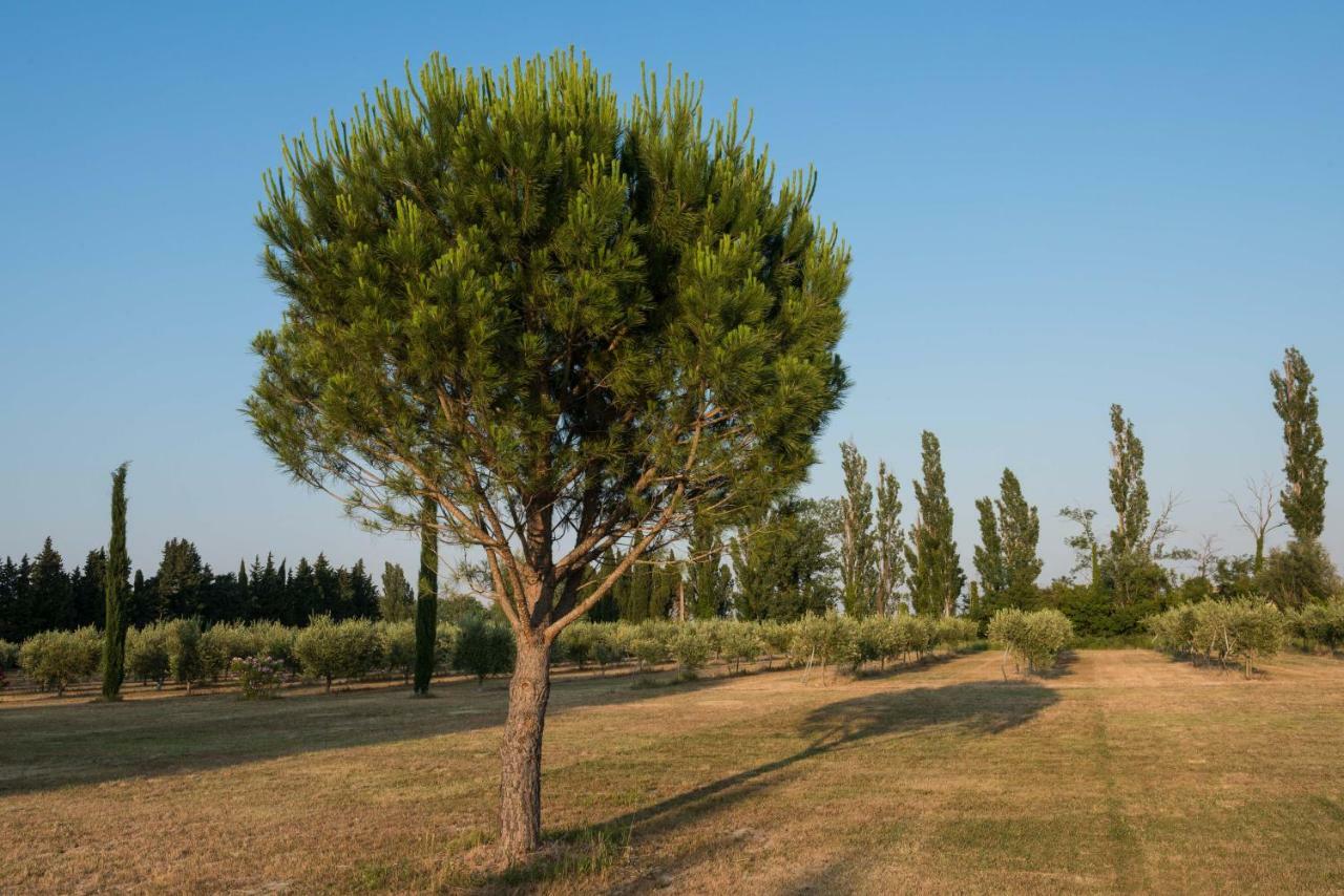 مبيت وإفطار جرافيزون Domaine De Fontbelle المظهر الخارجي الصورة
